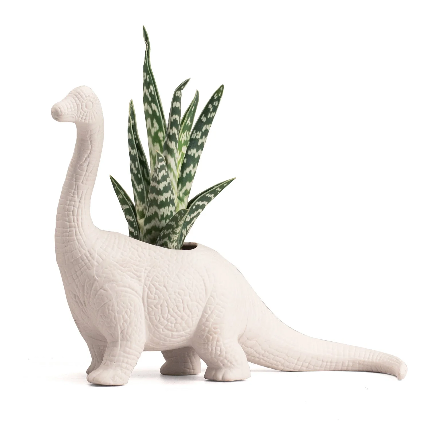 Plantosaurus